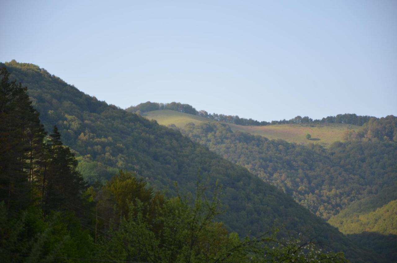 Вила Даяна Ribarica Exterior foto