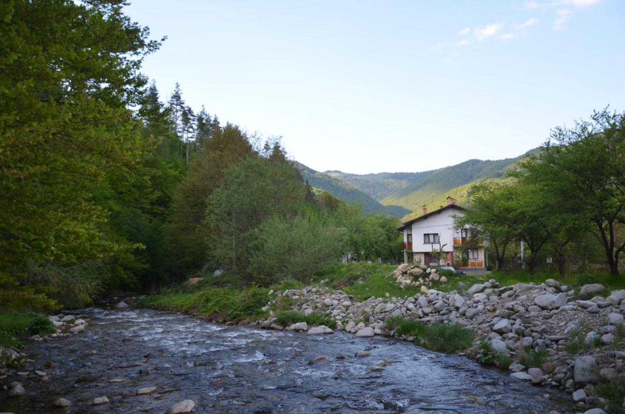 Вила Даяна Ribarica Exterior foto