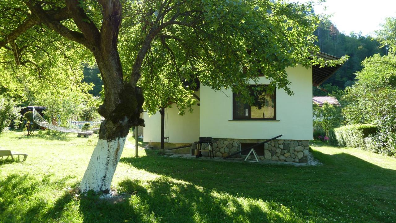 Вила Даяна Ribarica Exterior foto